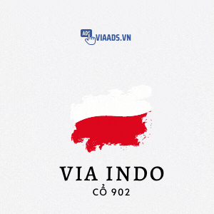 Via Indo Kháng 902 Die ADS Đã Vượt 956 (CP Mail)