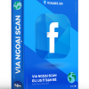 Via Ngoại Cổ Scan